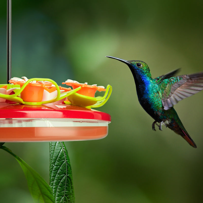 Hanging Flower Hummingbird Feeder 12 Feeding Stations